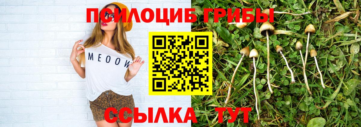 Псилоцибиновые грибы Psilocybine cubensis  Вход с VPN  Дмитров 