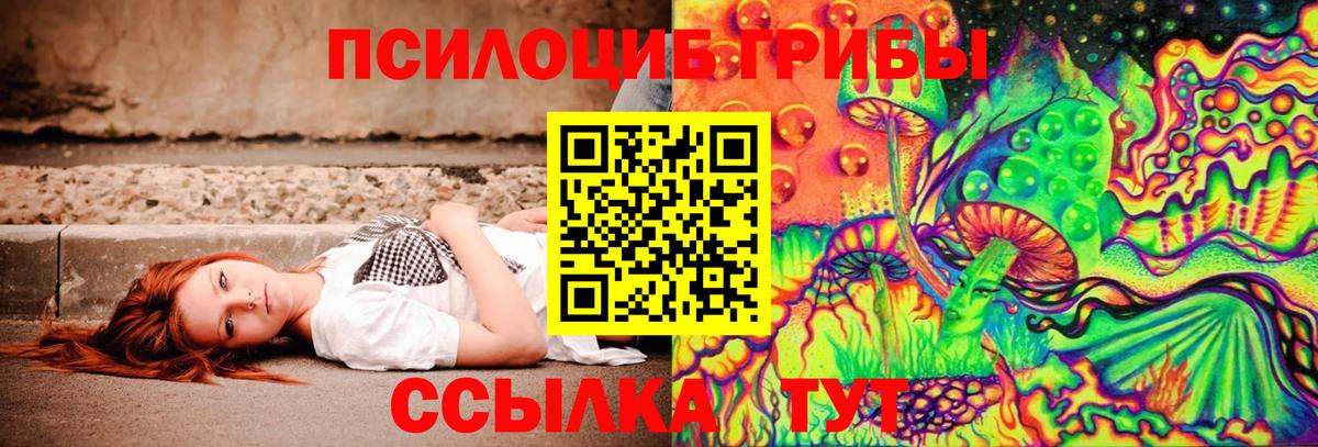 Псилоцибиновые грибы Psilocybe Дмитров